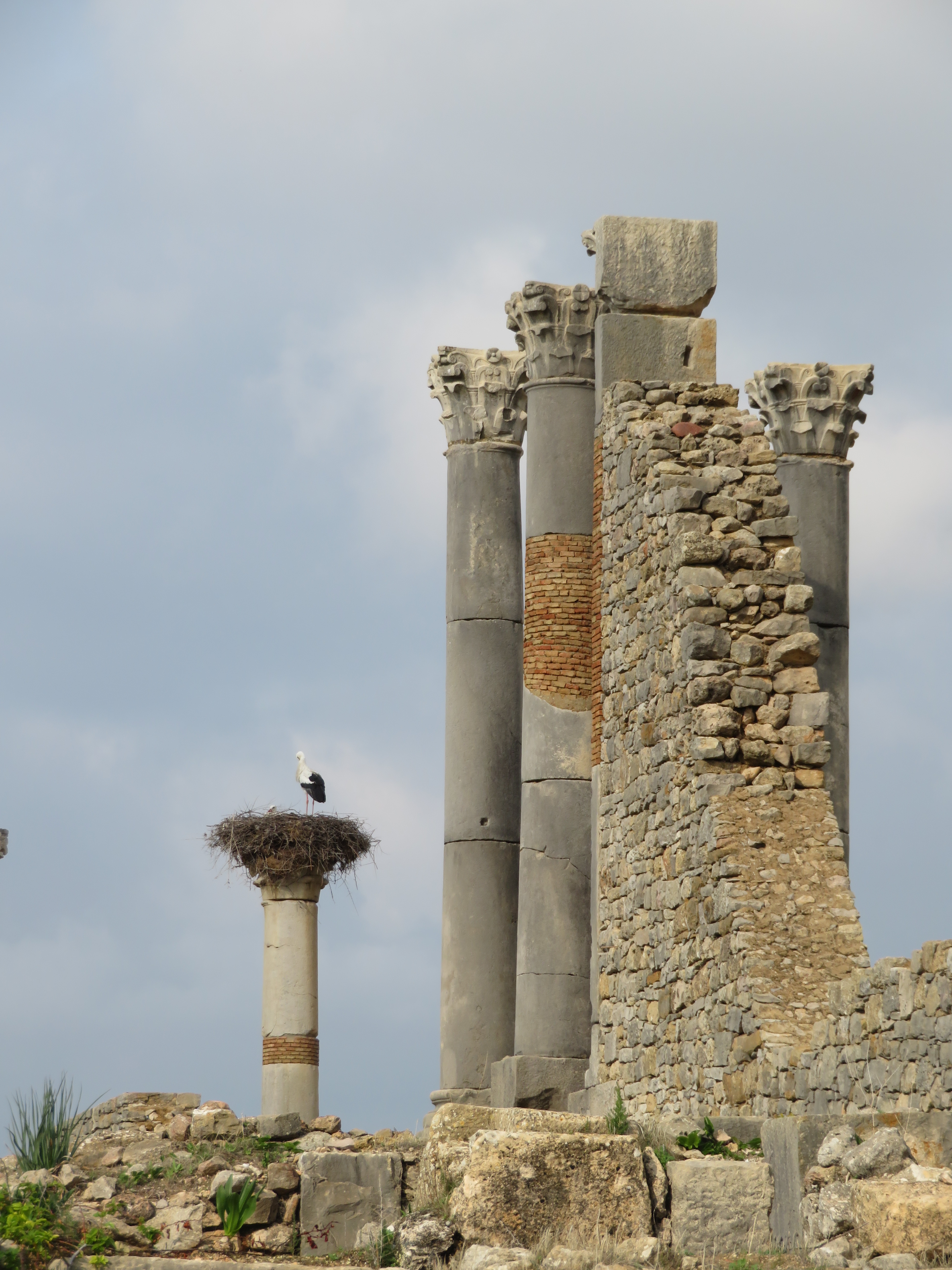 Rabatment and Ruins – Love in the Spaces
