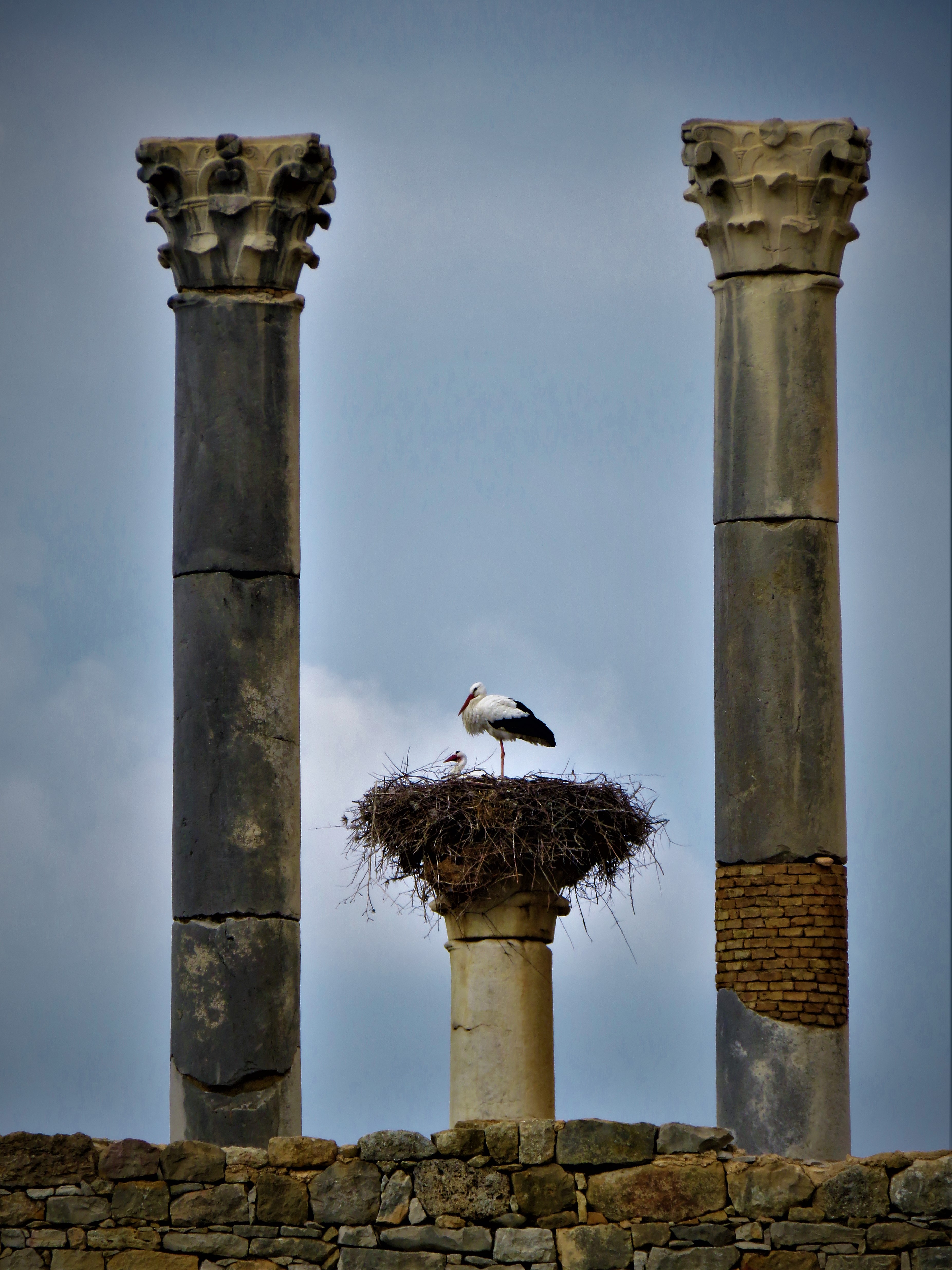 Rabatment and Ruins – Love in the Spaces